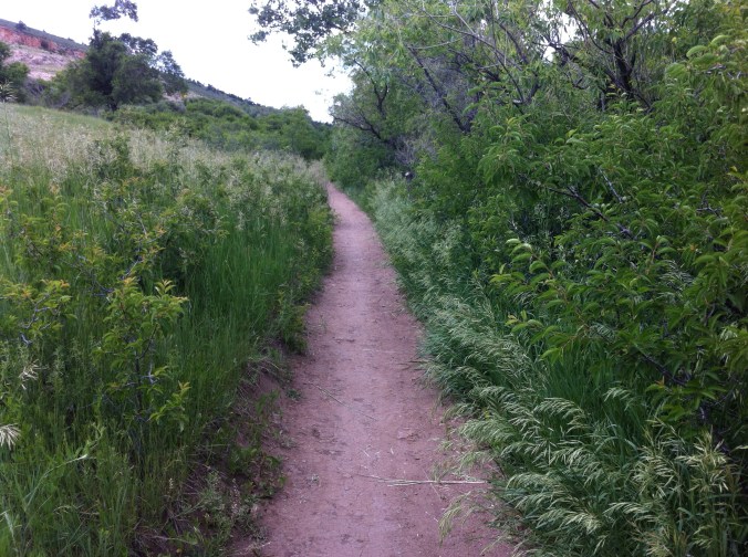 May Our Wonder Outmatch Our&nbsp;Wounds